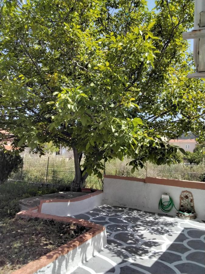סאמי Ralloy Hoyse מראה חיצוני תמונה