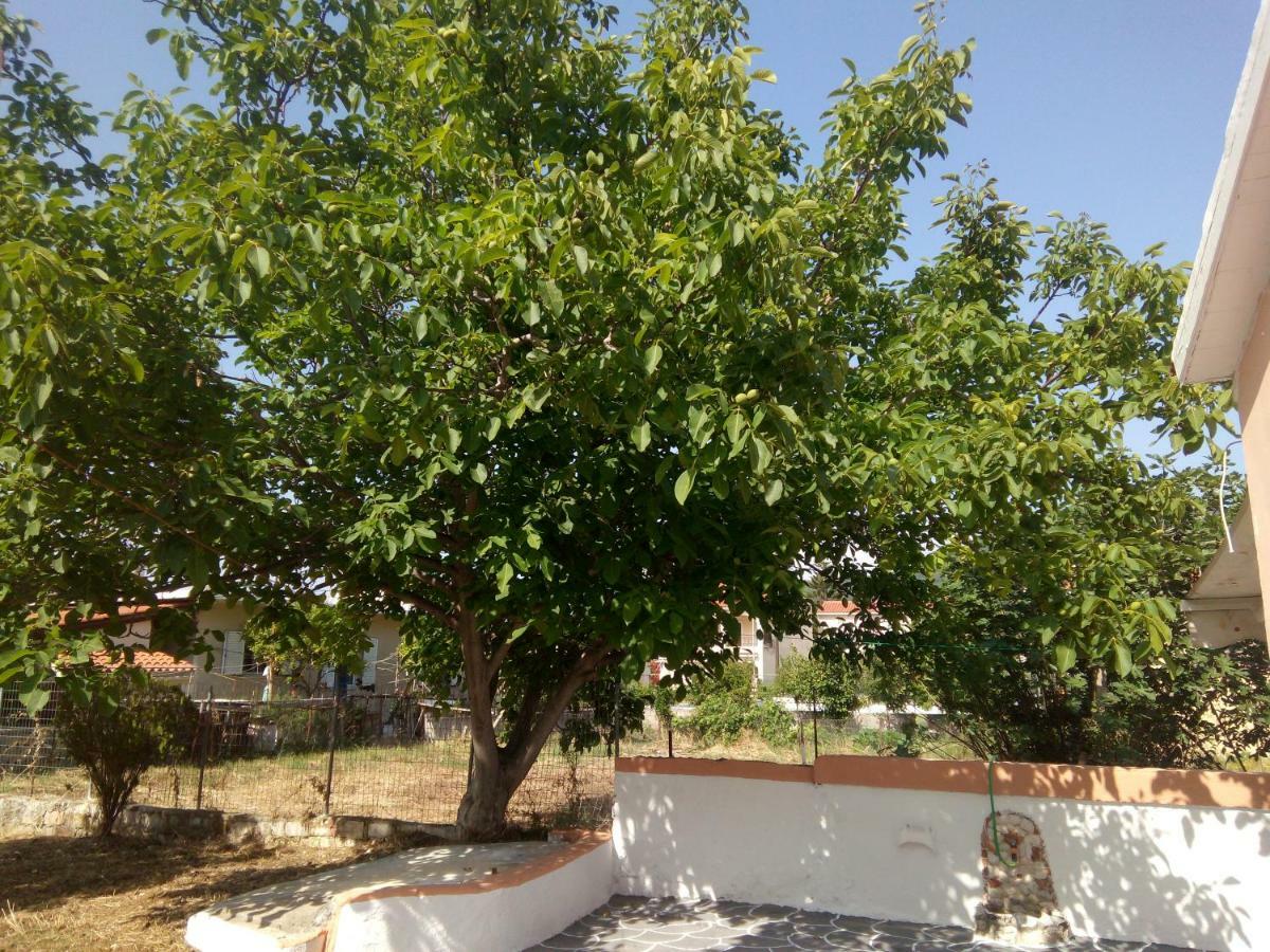 סאמי Ralloy Hoyse מראה חיצוני תמונה